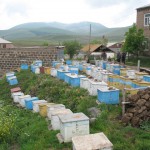 Beekeeping -Entrepreneur Andreas Meltonyan